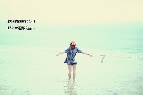 【时光剪影】2023回望随笔